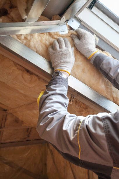 Insulation Repair Services in Rollingwood, TX