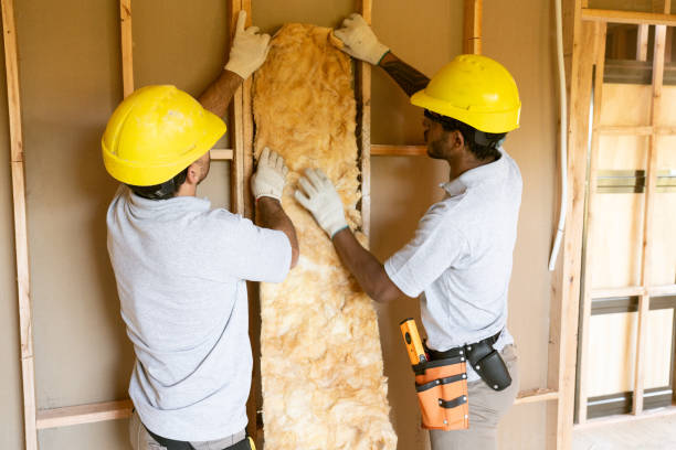 Best Home Insulation Services  in Rollingwood, TX