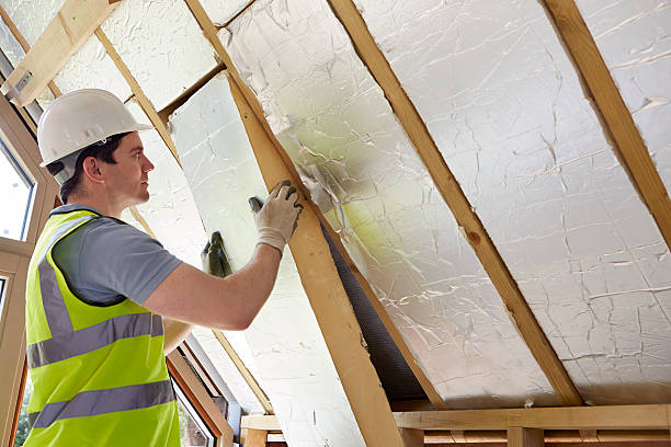 Best Professional Insulation Contractor  in Rollingwood, TX
